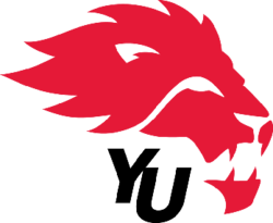 York Lions logo