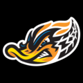 Akron RubberDucks logo