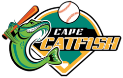 Cape Catfish logo
