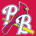 Palm Beach Cardinals logo