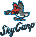 Beloit Sky Carp logo
