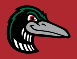 Great Lakes Loons logo
