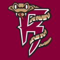 Wisconsin Timber Rattlers logo