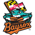 Chesapeake Baysox logo