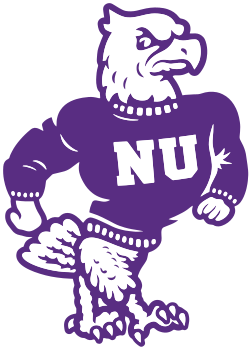 Niagara Purple Eagles logo