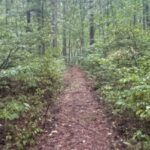 Profile picture of Garrett Morris